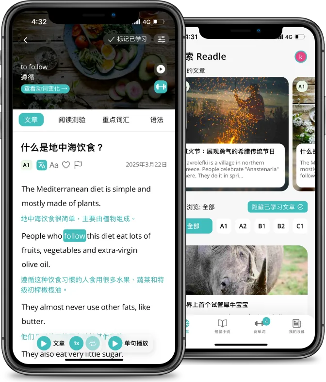Readle 阅读界面
